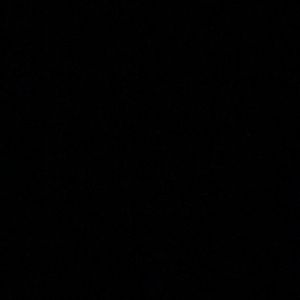 Meet your Posher, Gisselle